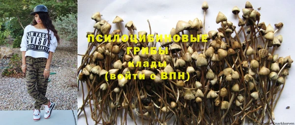 mix Белокуриха