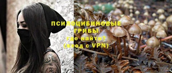 mix Белокуриха