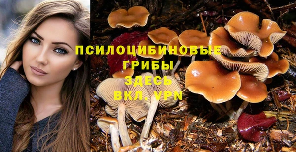 МДПВ Беломорск