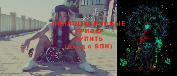 mix Белокуриха