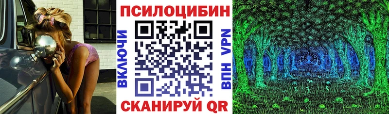Псилоцибиновые грибы MAGIC MUSHROOMS  Малоярославец 