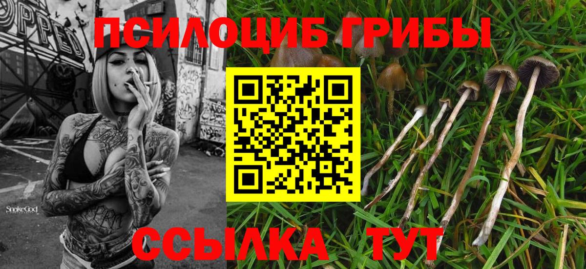 Малоярославец  Галлюциногенные грибы мицелий  Вход с VPN 